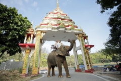 1_Phuket-Temple-Same-Sex-Buddhist-Blessing-Ceremony-Package-Jesse-Chaochee-25