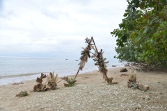 wedding_venue_86