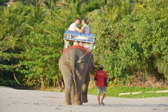 1_Lanta-Beach-Elephant-Wedding-Package-Virginie-Clement-06