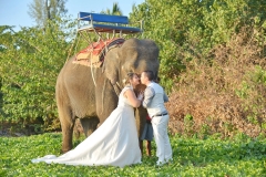 1_Lanta-Beach-Elephant-Wedding-Package-Virginie-Clement-08