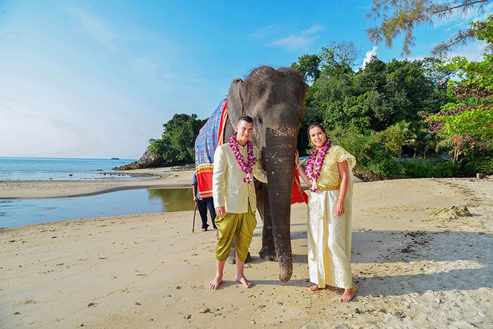 Elephant Thai Matrimony Samui