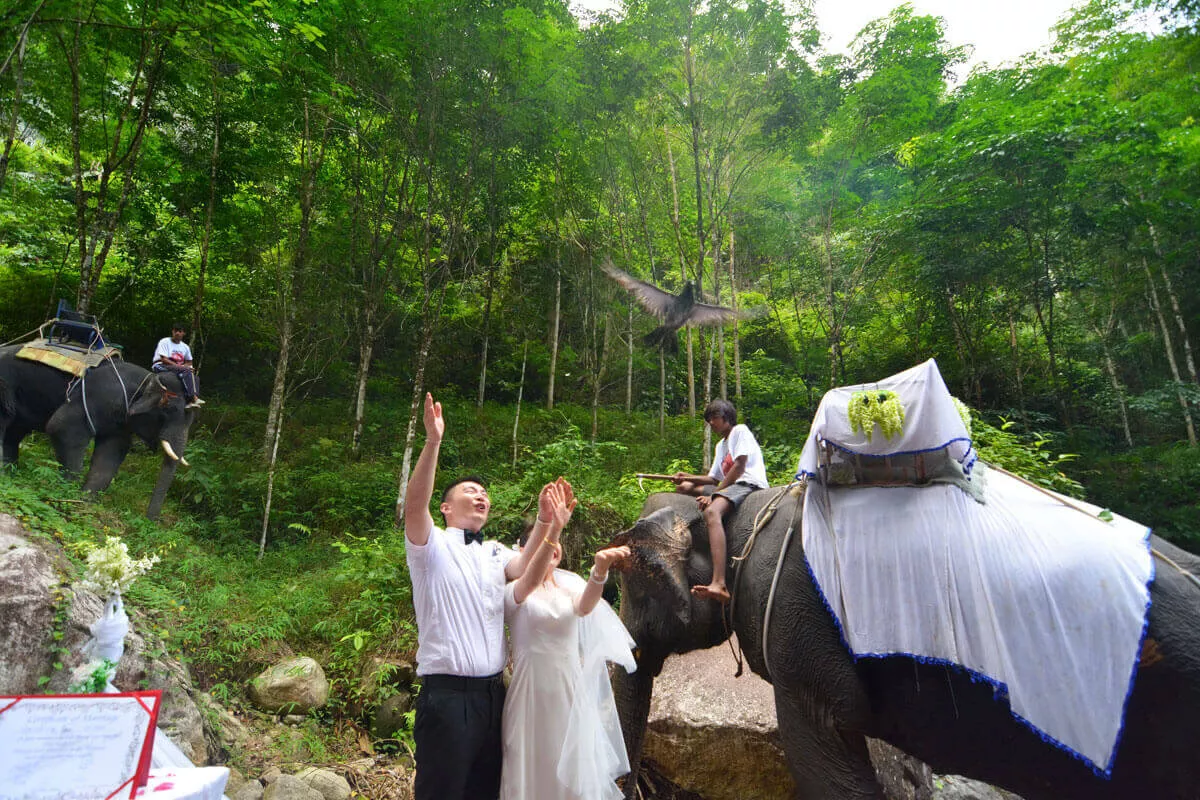 Elephant-National-Park-Western-Ceremony-Package