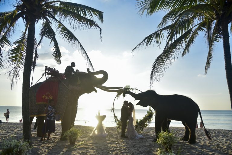 Thai Elephant Wedding